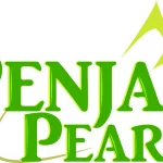 Penja's Pearls